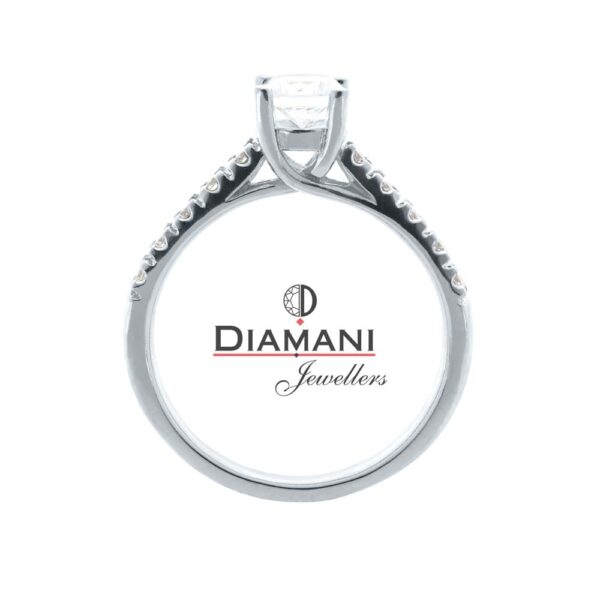 0.70ctw. Round cut Solitaire, Accented Diamond Ring in Platinum | DIAMANI Jewellers - Image 3